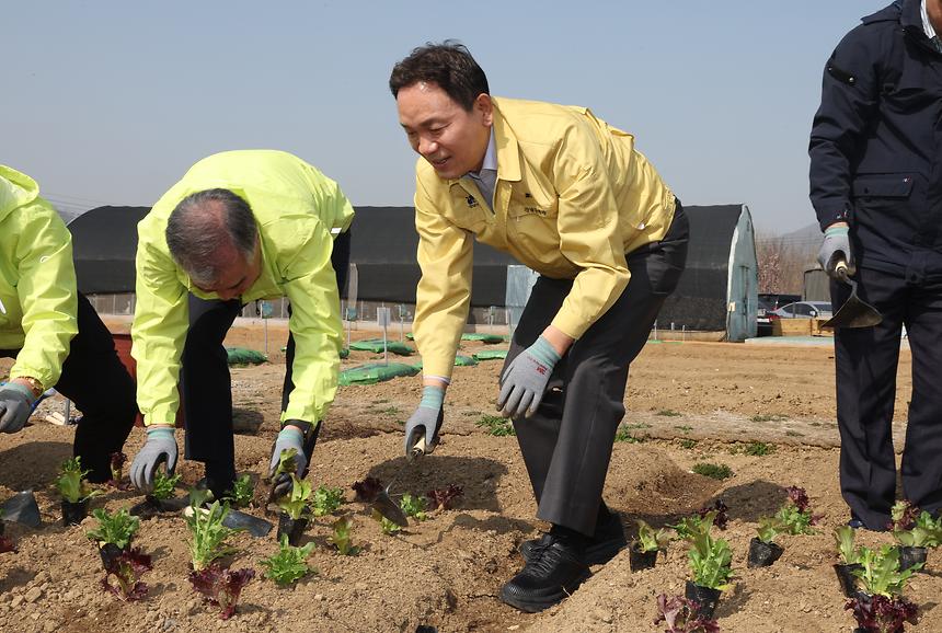 세곡천 힐링텃밭 개장 - 3