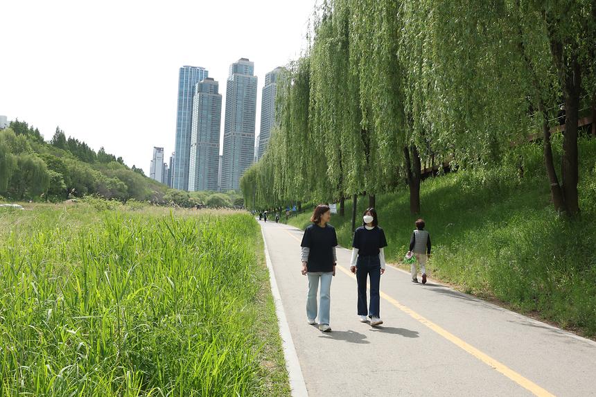 양재천 걷기 - 7