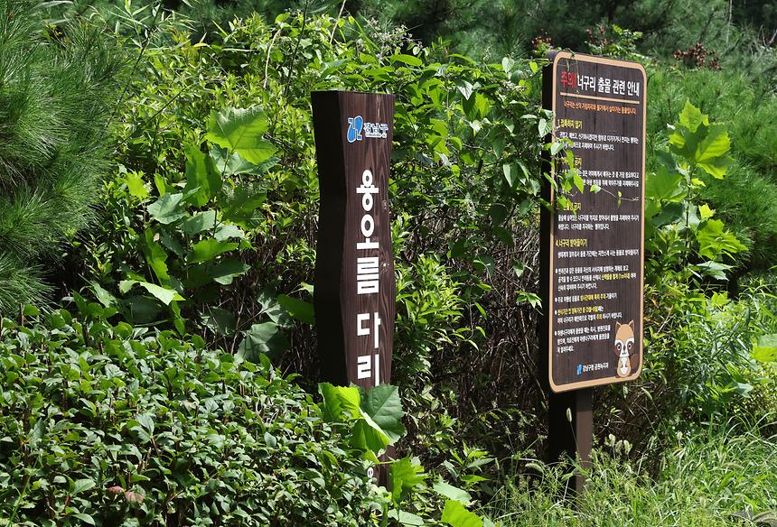용오름다리 - 5