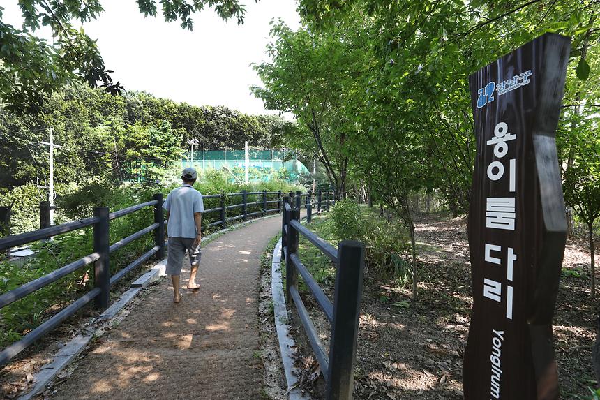용이룸다리 - 5