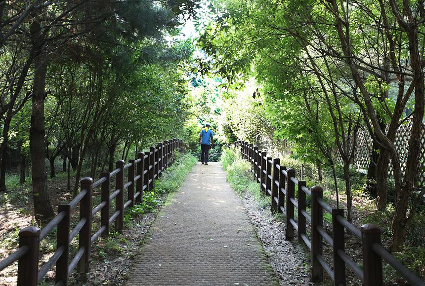 용바람다리 - 2
