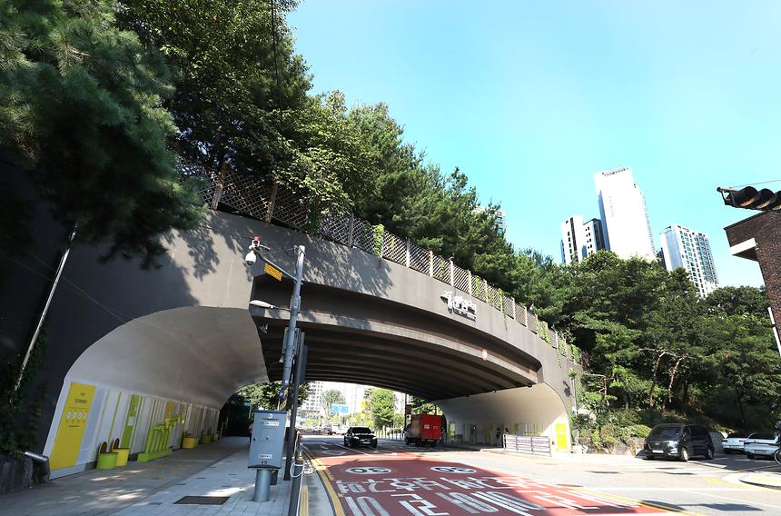 용바람다리 - 3