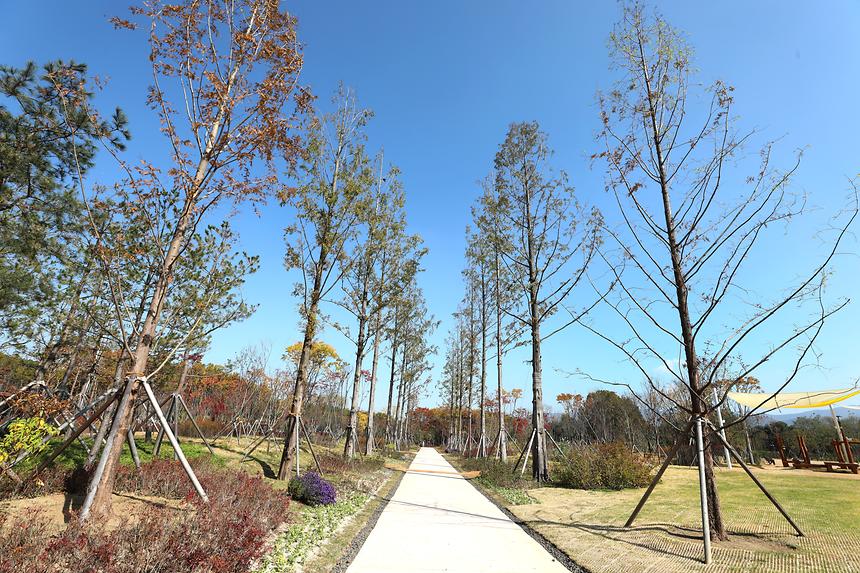강남세곡체육공원 - 3
