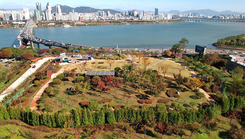 삼성해맞이공원 - 5