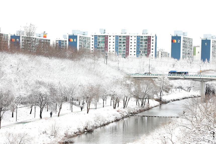 양재천 설경 - 6