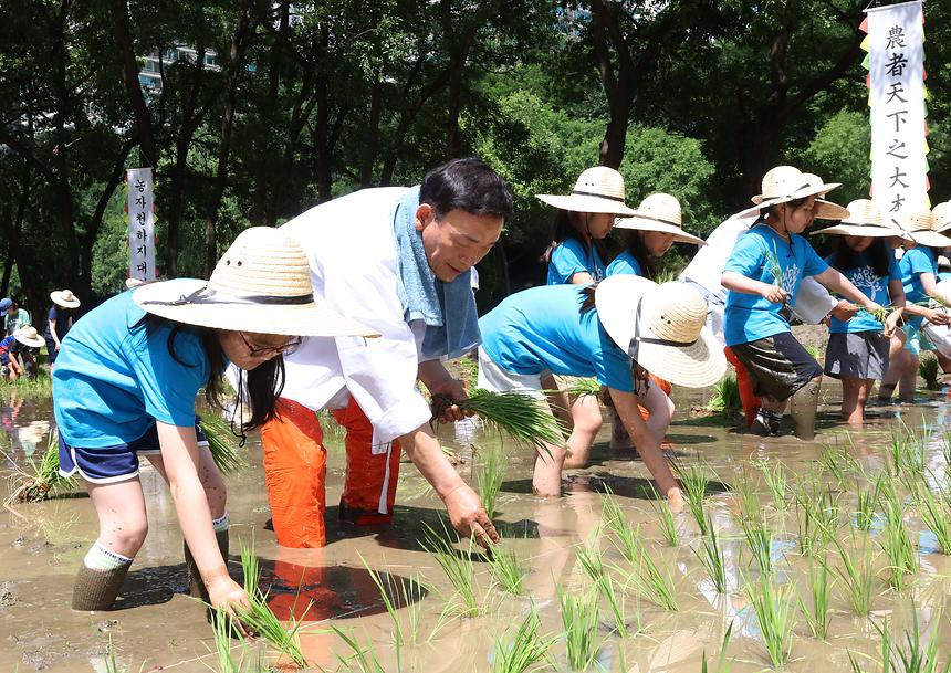 양재천 전통 모내기 체험 - 7