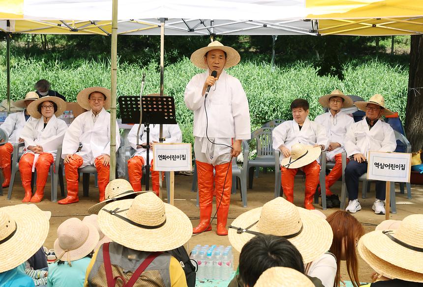 양재천 전통 모내기 체험 - 3