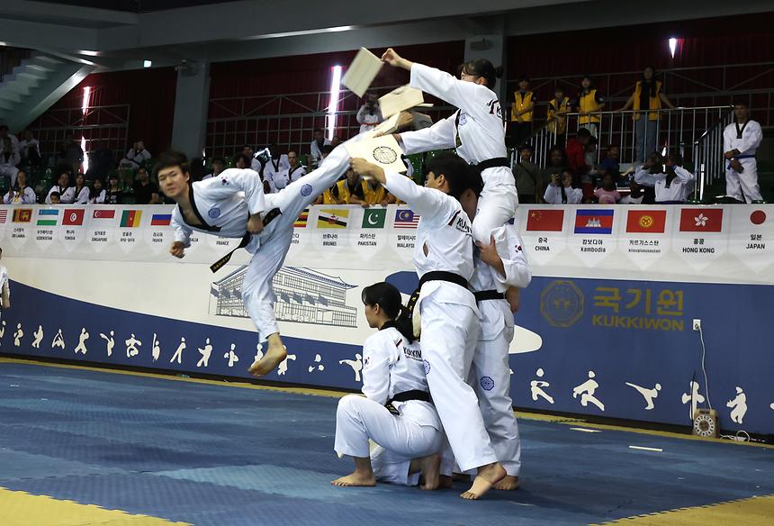 ‘2024 외국인 태권도 경연 대회’ 개막식·,, - 5