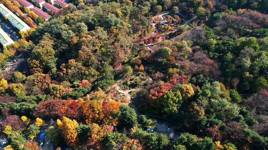 단풍으로 물드는 가을 대모산 - 3