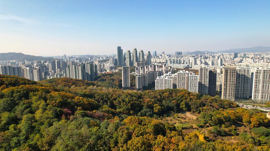 단풍으로 물드는 가을 대모산 - 8