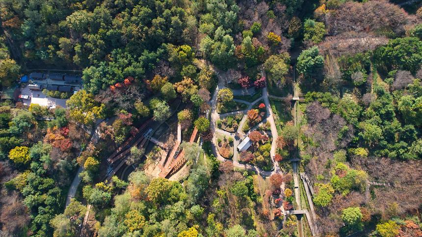 단풍으로 물드는 가을 대모산 - 4