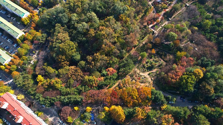 단풍으로 물드는 가을 대모산 - 5