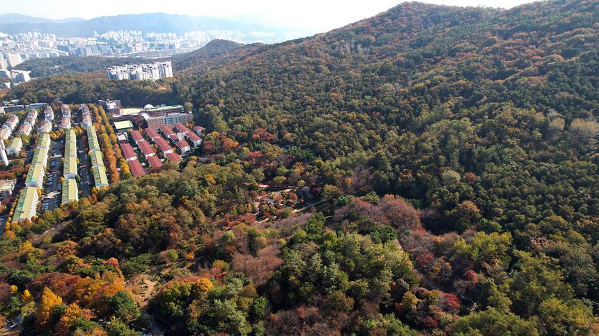 단풍으로 물드는 가을 대모산 - 2