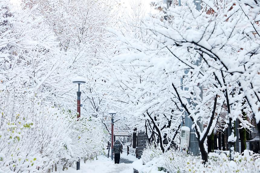 11월 폭설이 내린 풍경 - 5