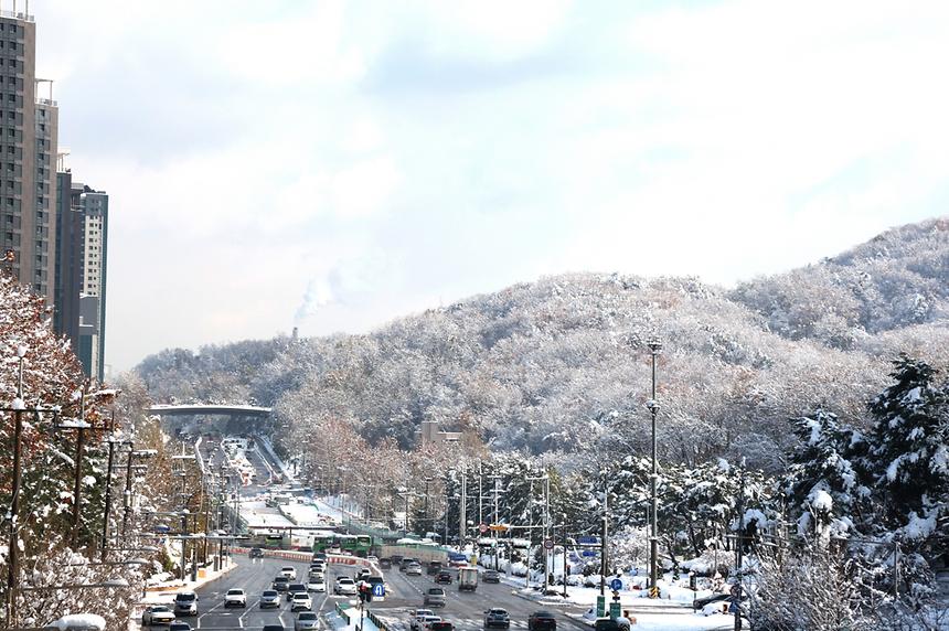 11월 폭설이 내린 풍경 - 6