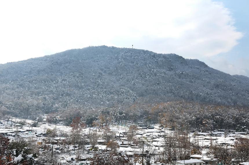 11월 폭설이 내린 풍경 - 10