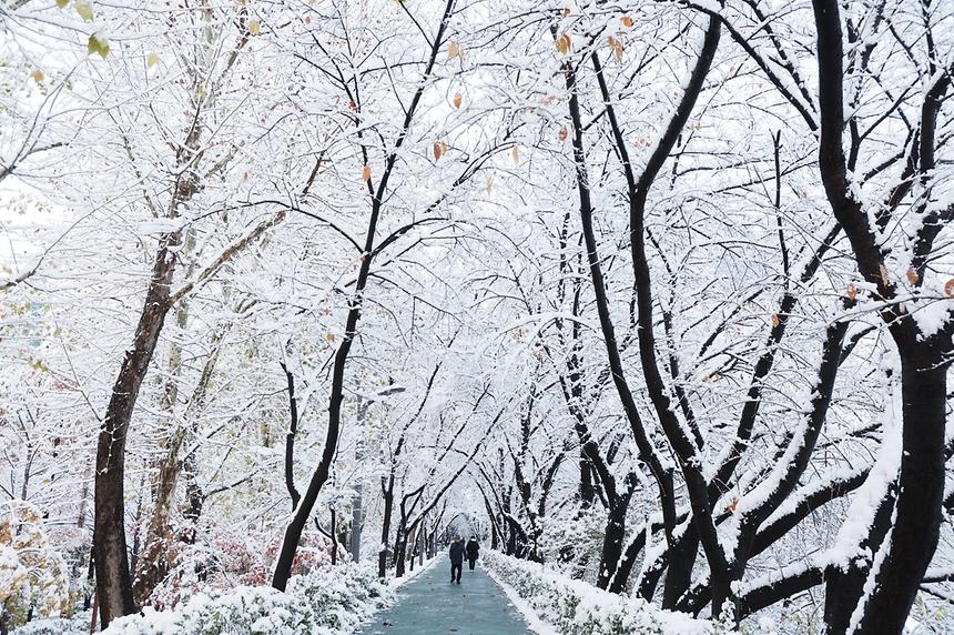 11월 폭설이 내린 풍경 - 4