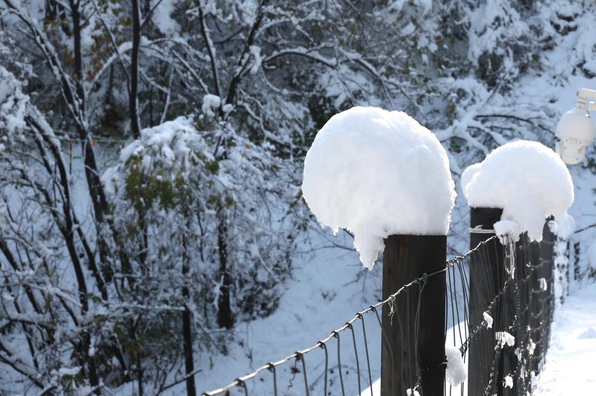 11월 폭설이 내린 풍경 - 9