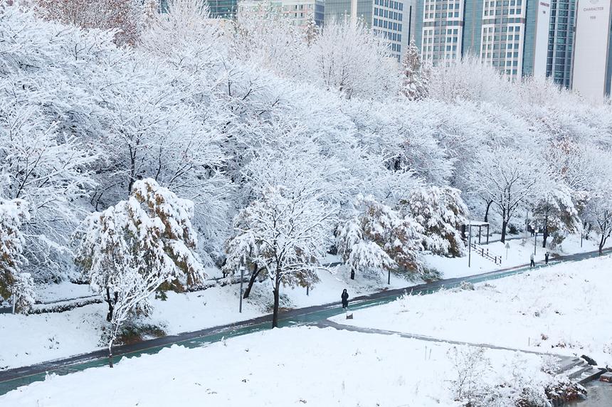 11월 폭설이 내린 풍경 - 2