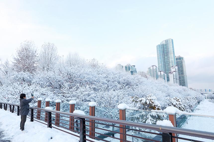 11월 폭설이 내린 풍경 - 1
