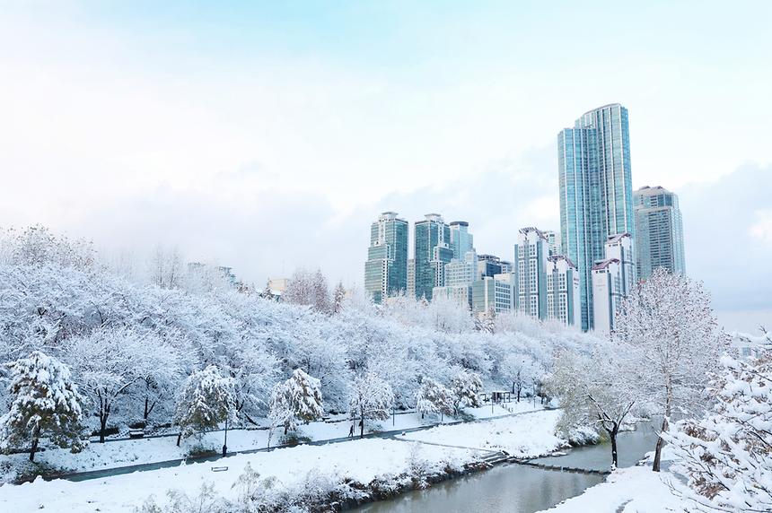 11월 폭설이 내린 풍경 - 3