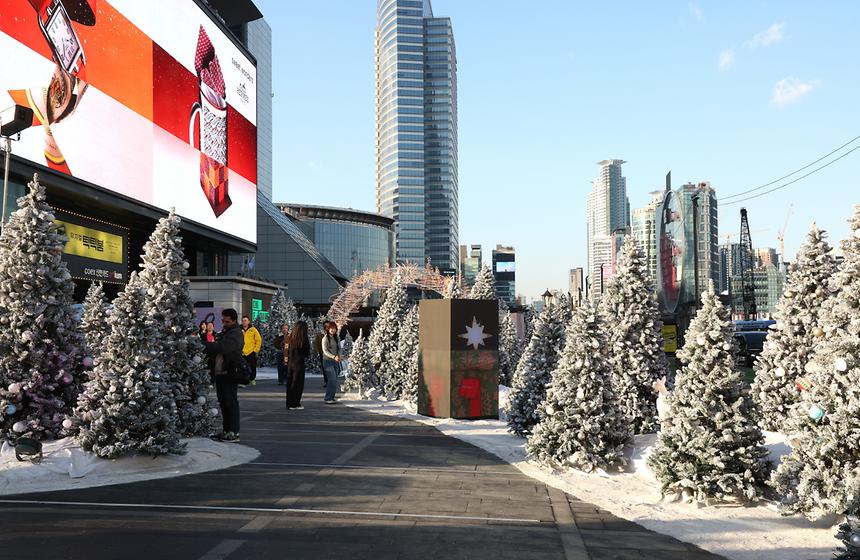 미디어아트와 화이트 트리 숲에서 크리스마스 즐기자! - 2