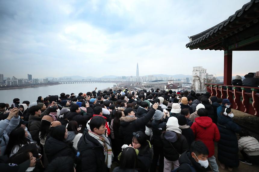 을사년 새해  밝아 - 3