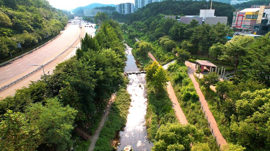 탄천·세곡천 전경 - 4