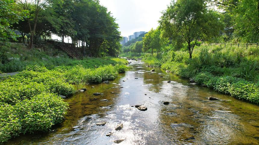 탄천·세곡천 전경 - 5