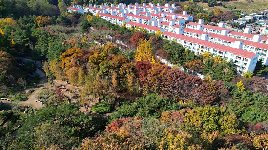 가을 대모산(드론촬영) - 3