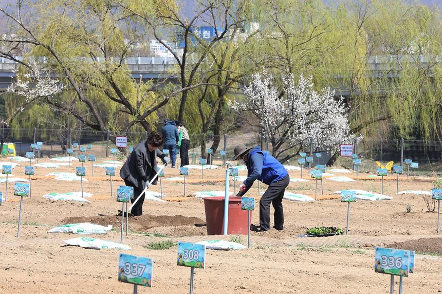 세곡천 힐링텃밭 개장 - 4