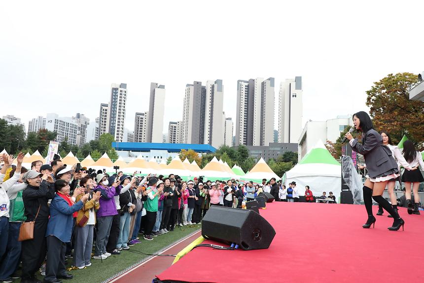 ‘제13회 강남구민화합축제’ 개최 - 29
