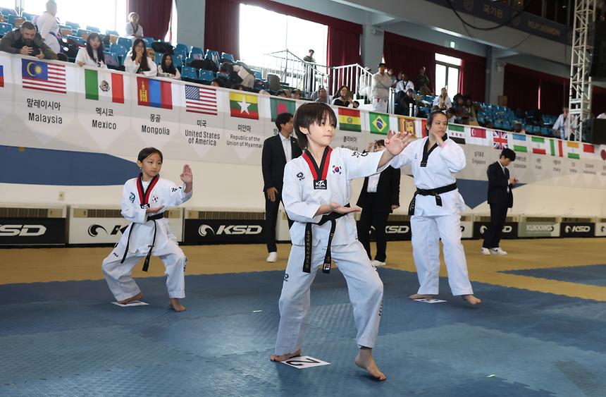 ‘2025 외국인 태권도 경연축제’ 개최 - 3