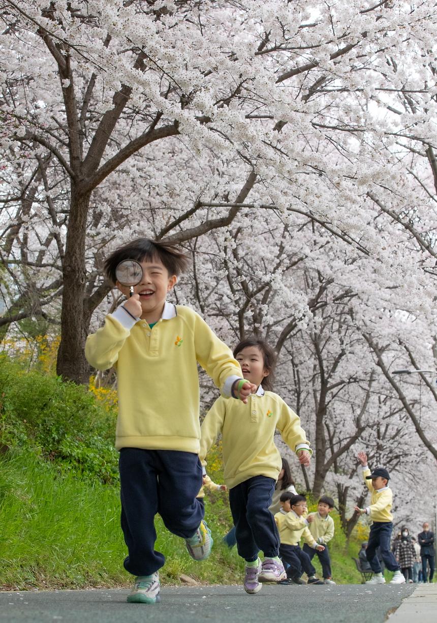 양재천 벚꽃길 - 6