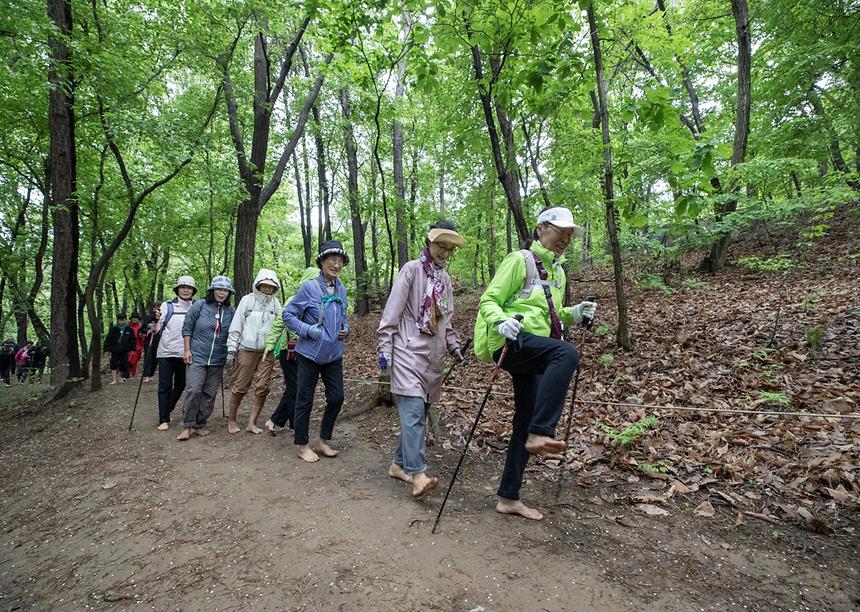 대모산 황톳길 - 2