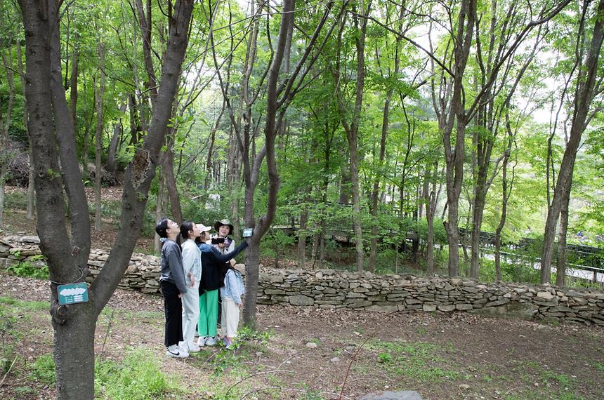 대모산숲속야생화원 - 2
