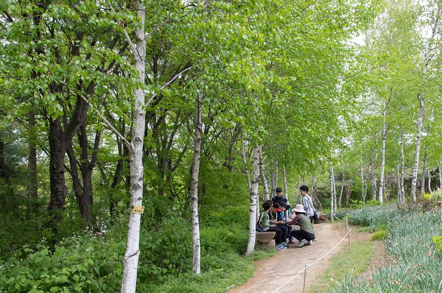대모산숲속야생화원 - 3