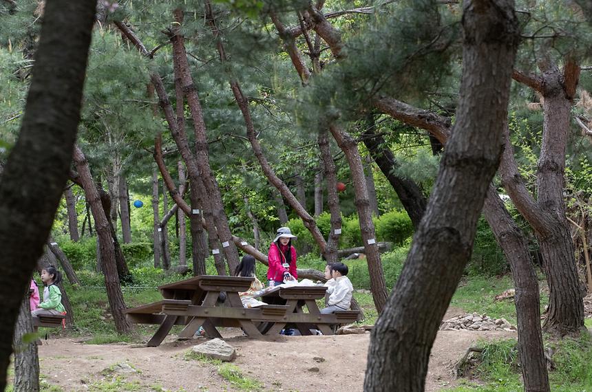 대모산숲속야생화원 - 4