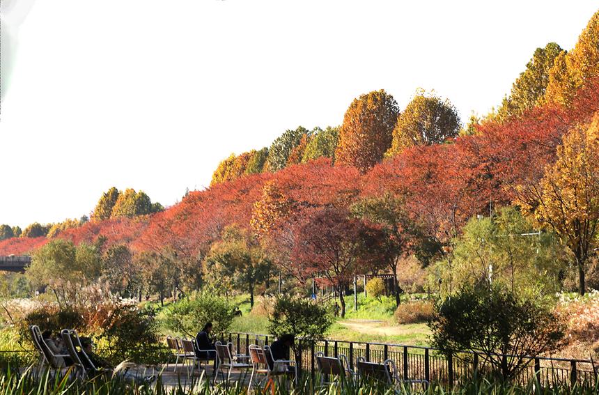 깊어 가는 강남의 가을 - 5