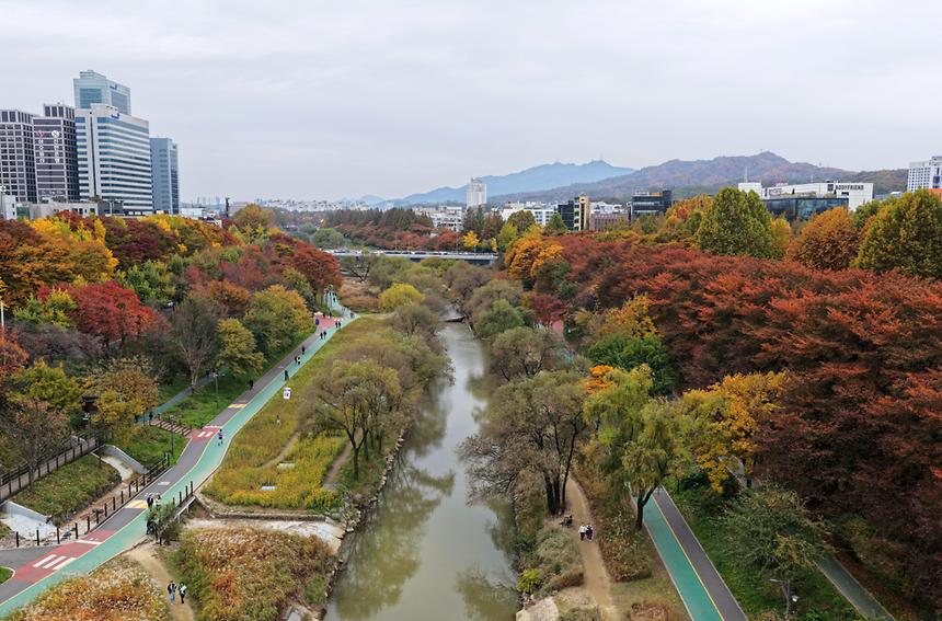 깊어 가는 강남의 가을 - 9