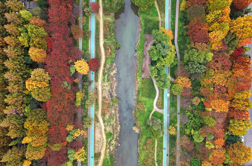 깊어 가는 강남의 가을 - 10