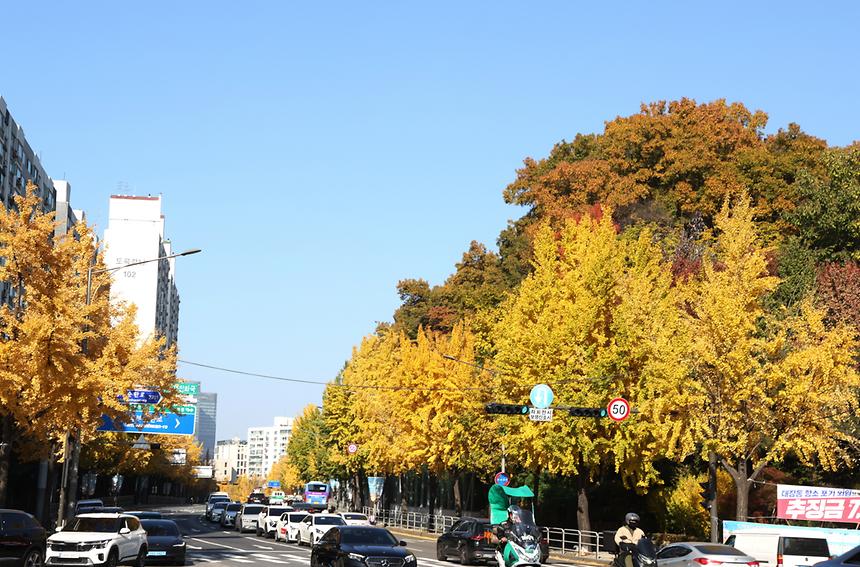 깊어 가는 강남의 가을 - 11