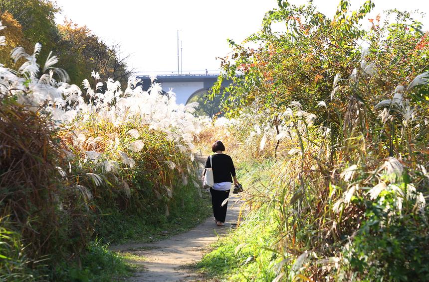 깊어 가는 강남의 가을 - 6
