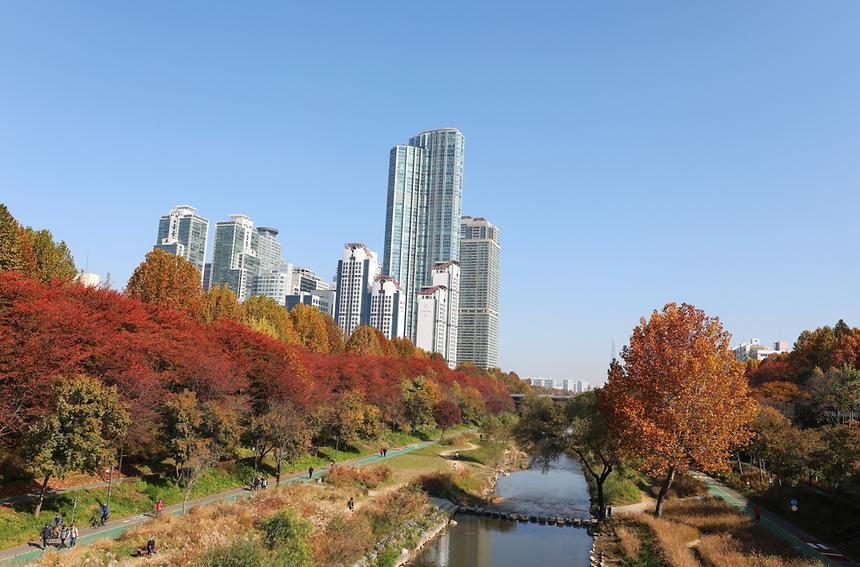 깊어 가는 강남의 가을 - 8
