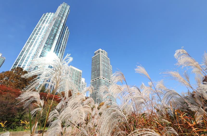 깊어 가는 강남의 가을 - 3