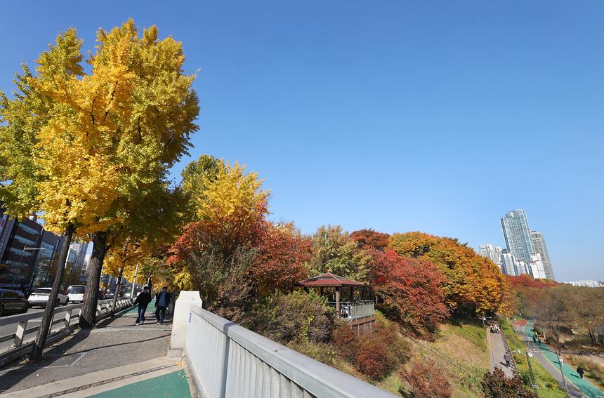 깊어 가는 강남의 가을 - 12
