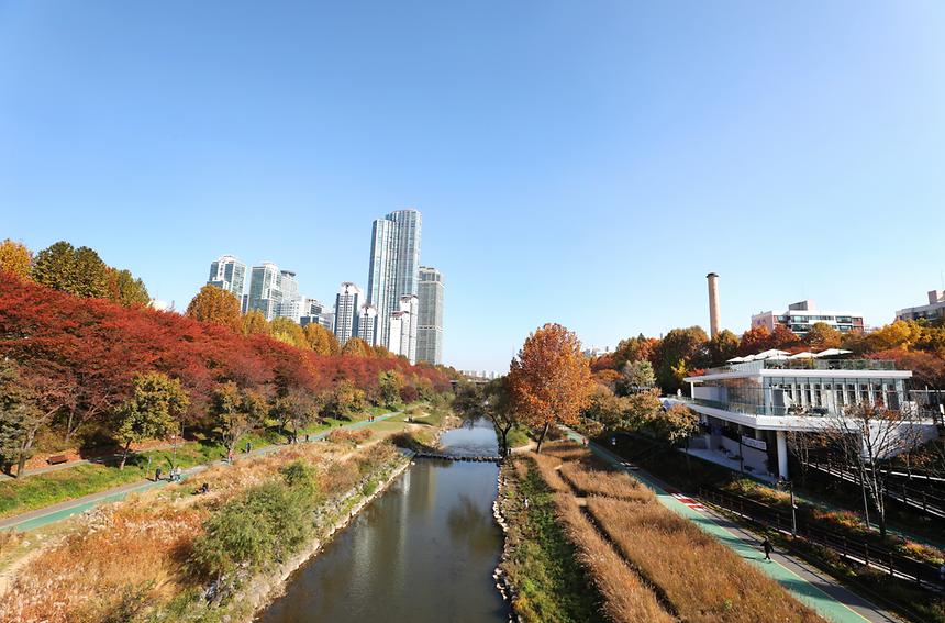 깊어 가는 강남의 가을 - 1