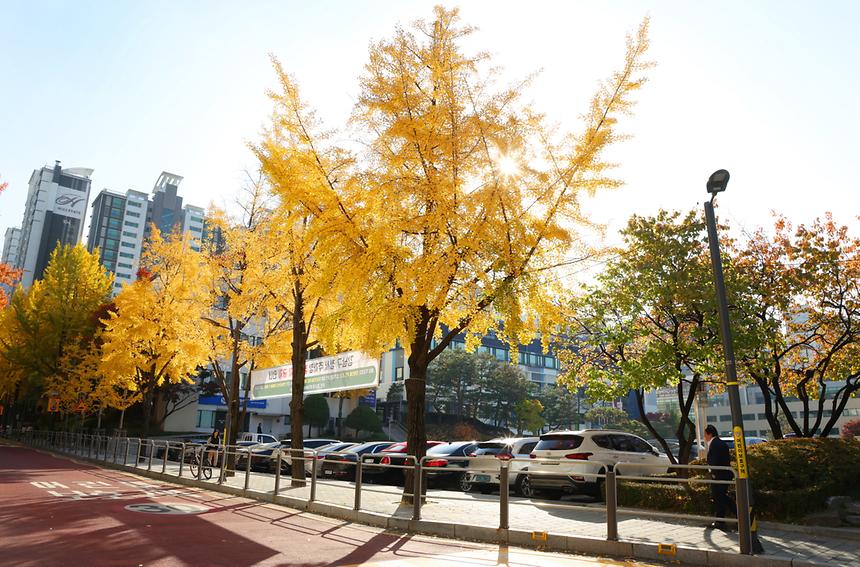 깊어 가는 강남의 가을 - 13