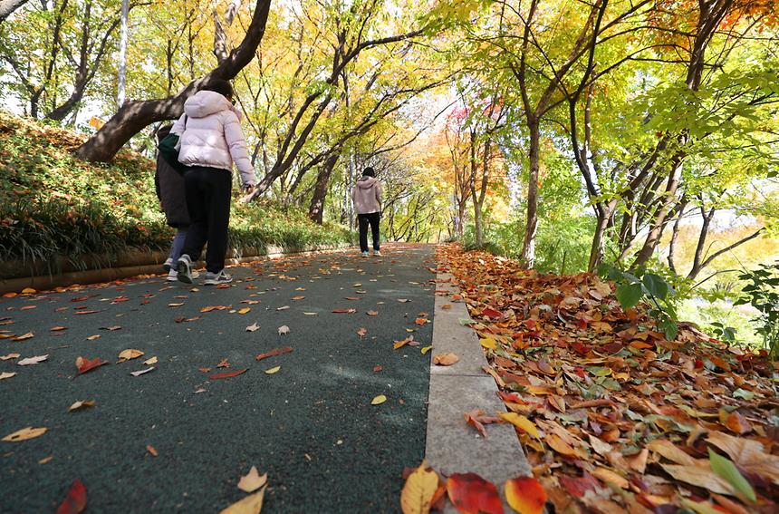 깊어 가는 강남의 가을 - 2