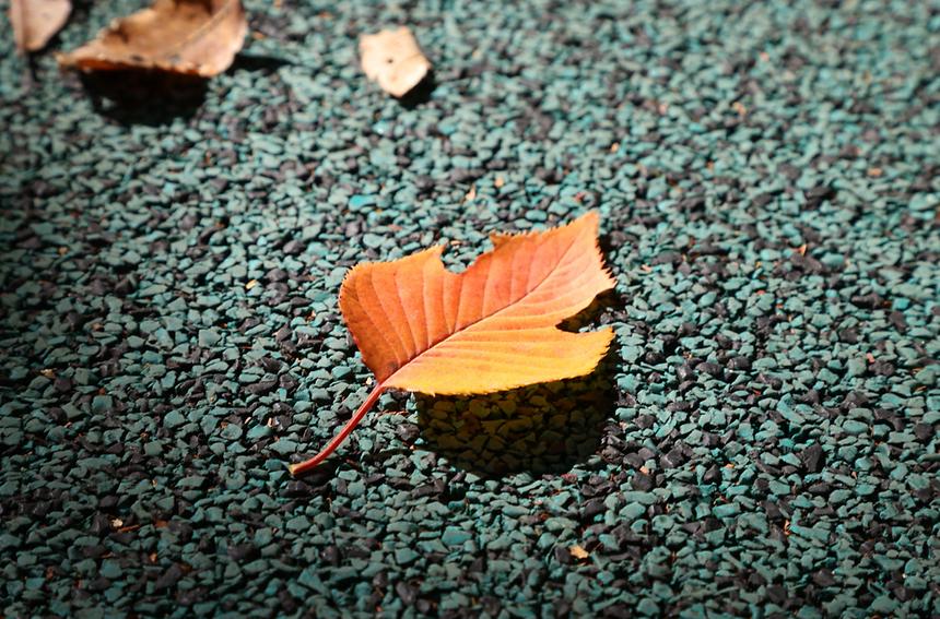 깊어 가는 강남의 가을 - 14